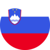 SI flag